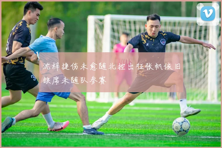 沈梓捷伤未愈随北控出征张帆依旧缺席未随队参赛